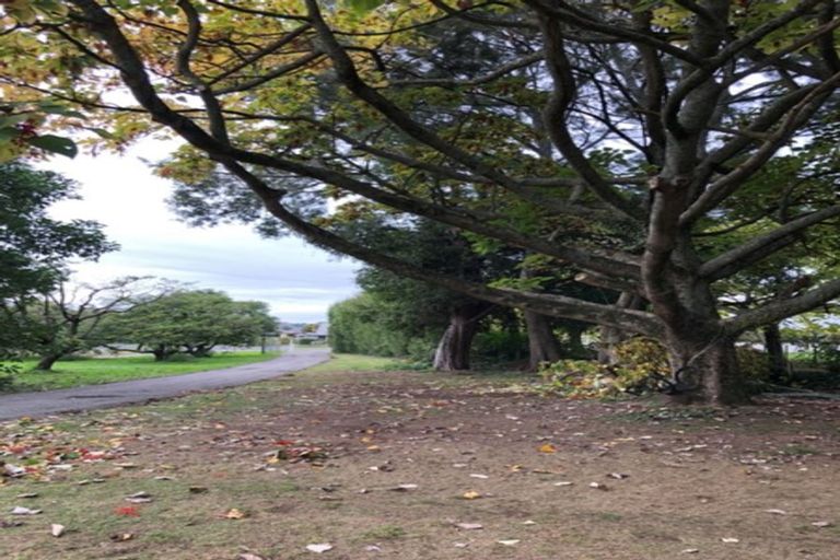 Photo of property in 219 Plummers Point Road, Whakamarama, Tauranga, 3172