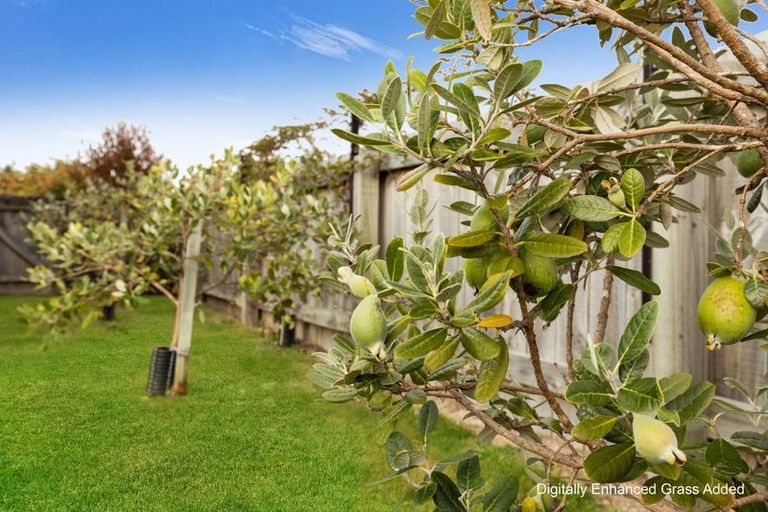 Photo of property in 11 Buick Street, Redwoodtown, Blenheim, 7201