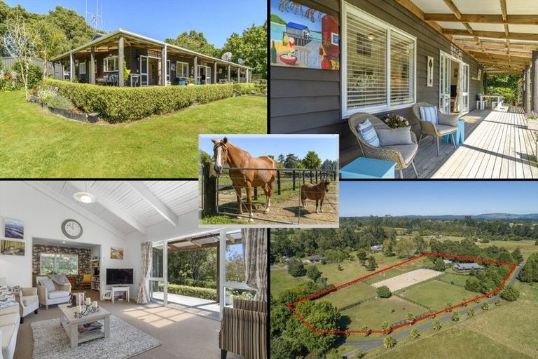 Photo of property in 1021 Omanawa Road, Omanawa, Tauranga, 3171