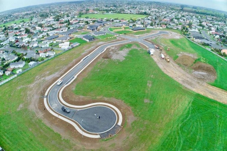 Photo of property in 12 Thorn Place, Levin, 5510