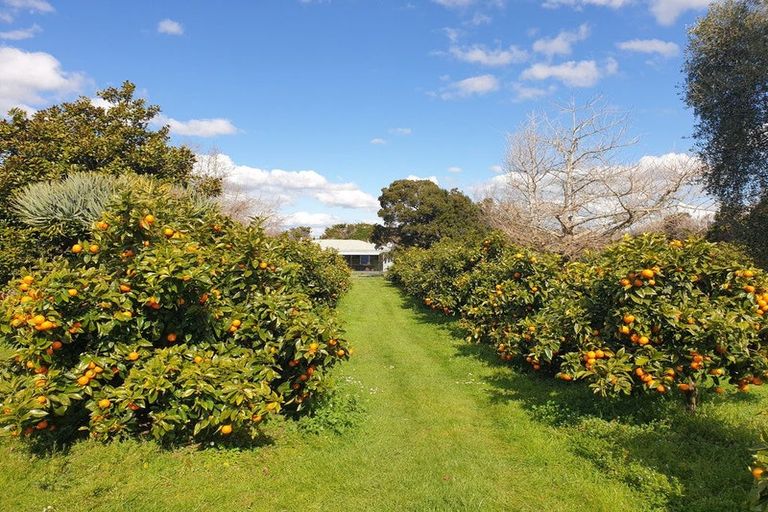 Photo of property in 70 Norris Road, Maungatapere, Whangarei, 0179