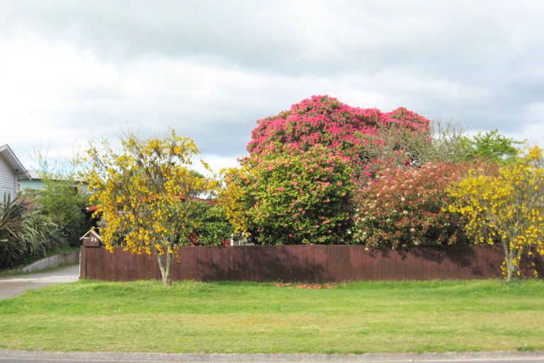 Photo of property in 25 Motutahae Street, Taupo, 3330