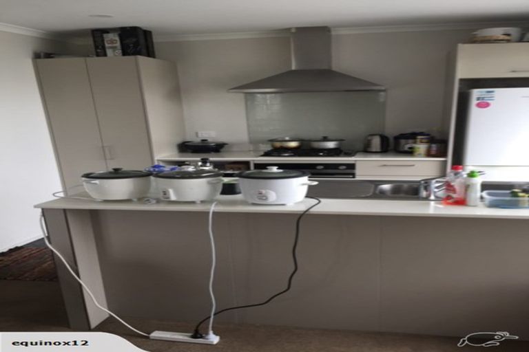 Photo of property in 1 Manawatere Way, Flat Bush, Auckland, 2019