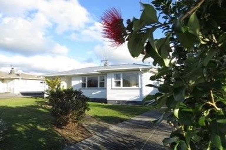 Photo of property in 16 Cornwall Street, Levin, 5510