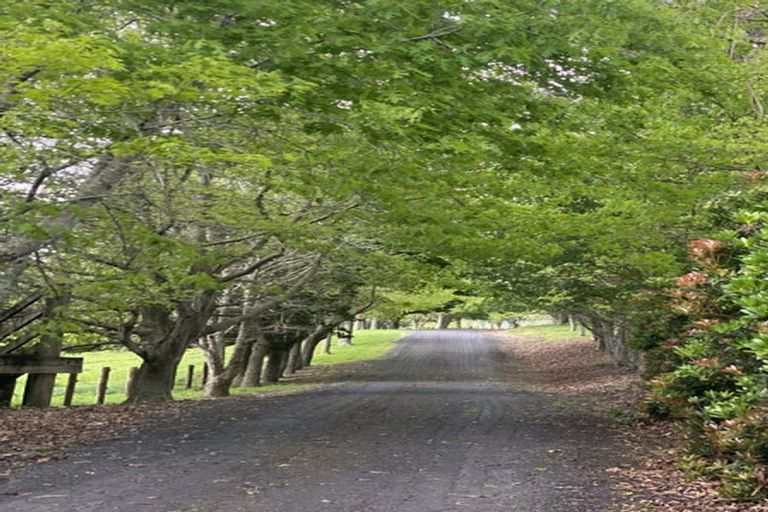 Photo of property in 48a Sinclair Road, Ararimu, Drury, 2579