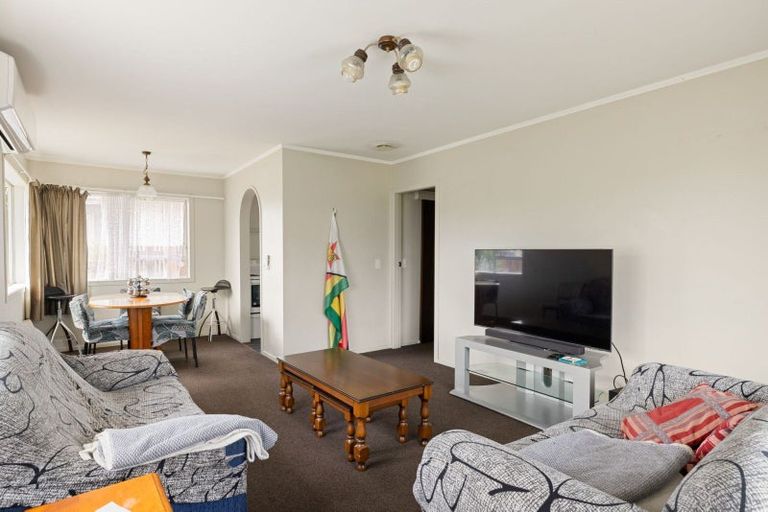 Photo of property in 47 Rimu Street, Maeroa, Hamilton, 3200