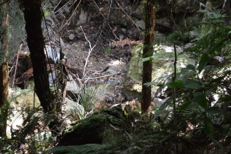 Photo of property in 1455 Buffalo Road, Coromandel, 3506