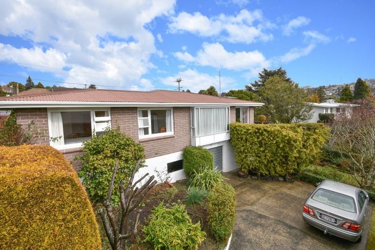 Photo of property in 221 Balmacewen Road, Wakari, Dunedin, 9010