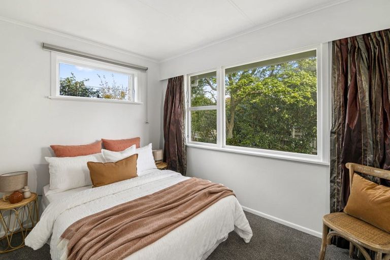 Photo of property in 59 Macarthur Street, Levin, 5510