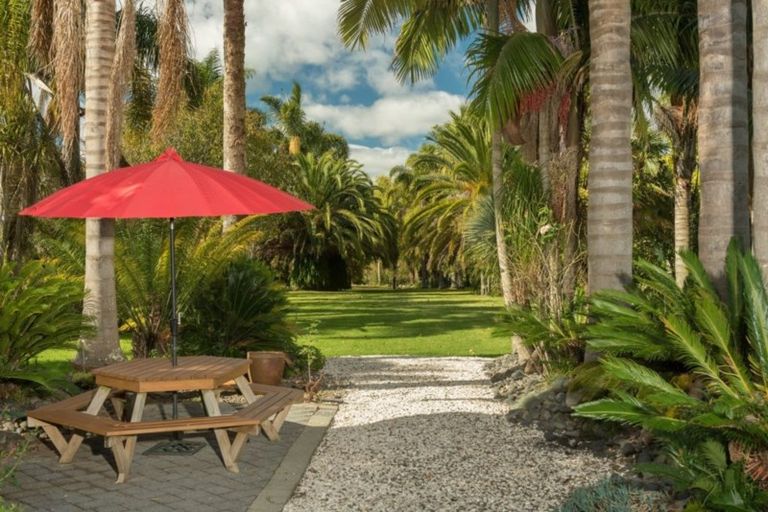 Photo of property in 4d Chadwick Road, Greerton, Tauranga, 3112