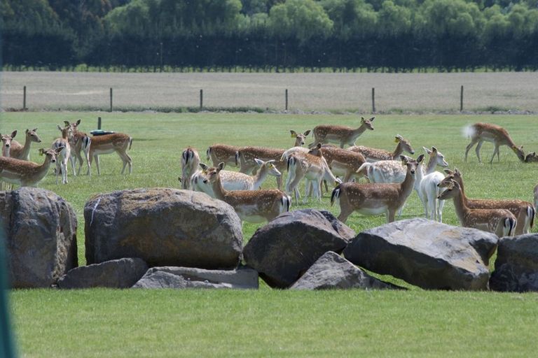 Photo of property in 18 Meadowlinks Lane, Pleasant Point, 7974