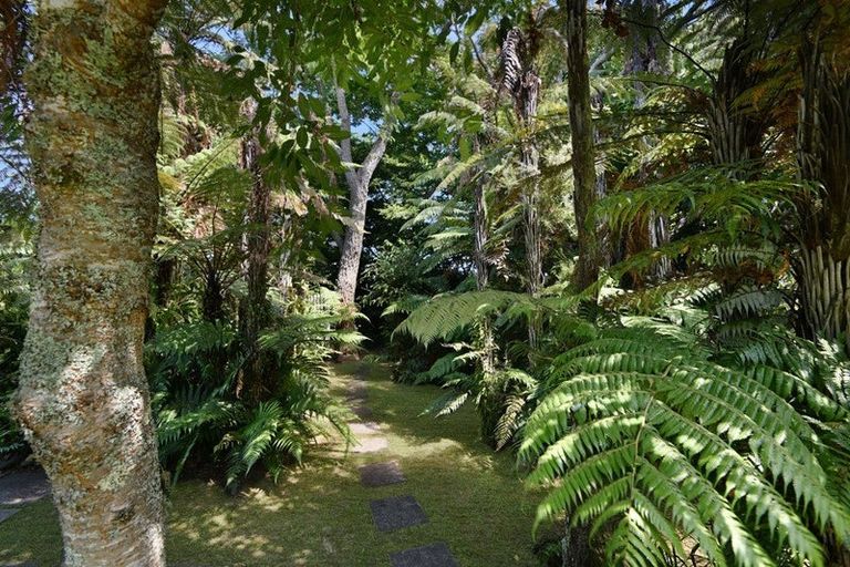 Photo of property in 19 Beverley Crescent, Hillcrest, Hamilton, 3216