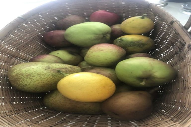 Photo of property in 2 Te Ara Karoiroa Road, Hurford, New Plymouth, 4374