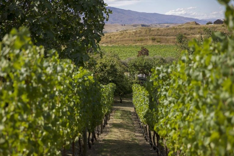 Photo of property in 45 Domain Road, Bannockburn, Cromwell, 9384