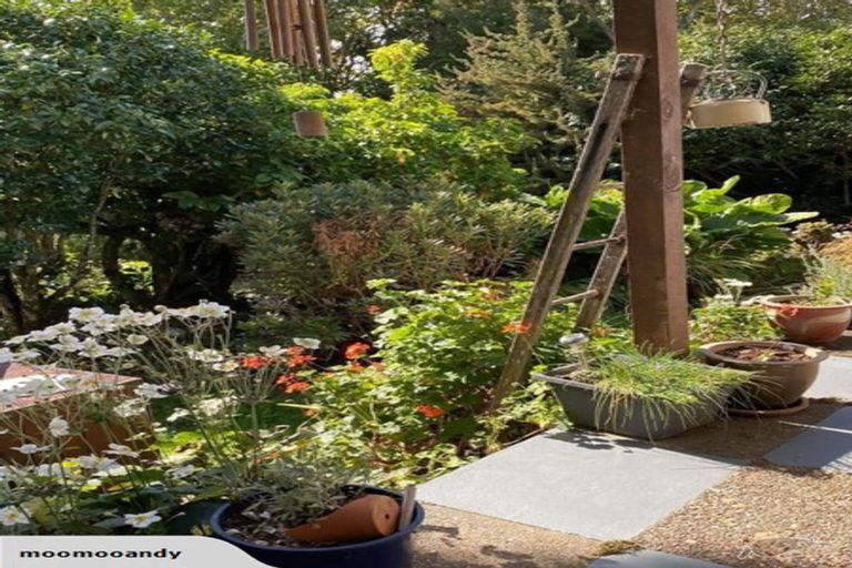 Photo of property in 350 Te Tahi Road, Puketotara, Te Awamutu, 3876