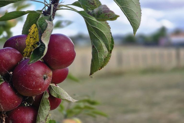 Photo of property in 510a Wellington Road, Marton, 4710