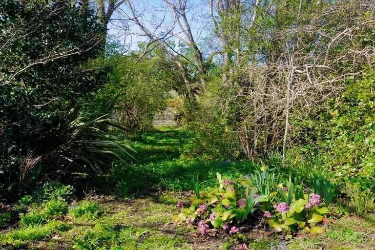 Photo of property in 44 Ronaldsay Street, Palmerston, 9430