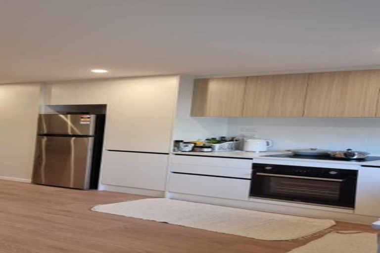 Photo of property in 117 Coronation Road, Hillcrest, Auckland, 0627