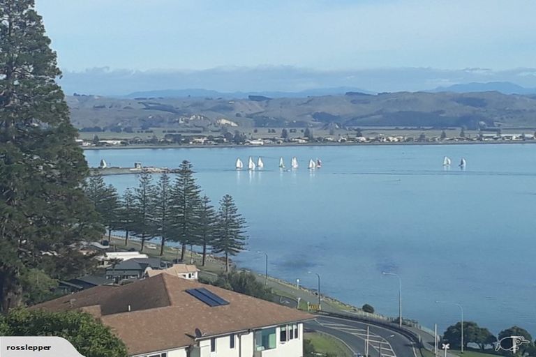 Photo of property in 26a Seapoint Road, Bluff Hill, Napier, 4110