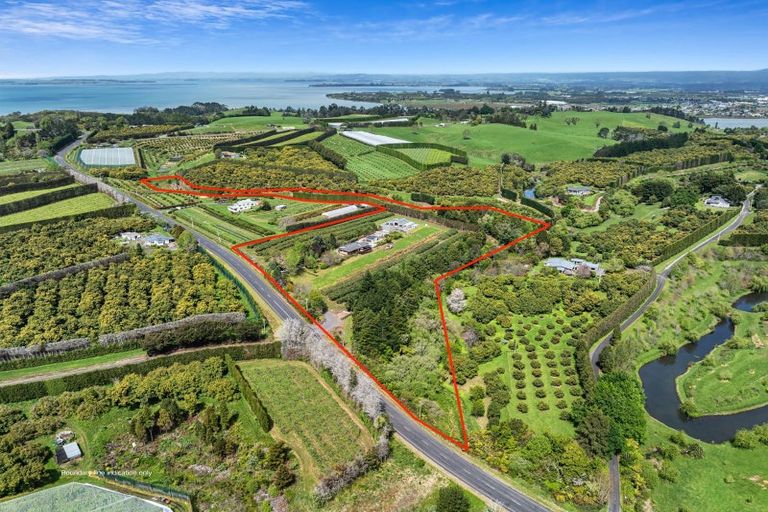 Photo of property in 124 Kauri Point Road, Tahawai, Katikati, 3170