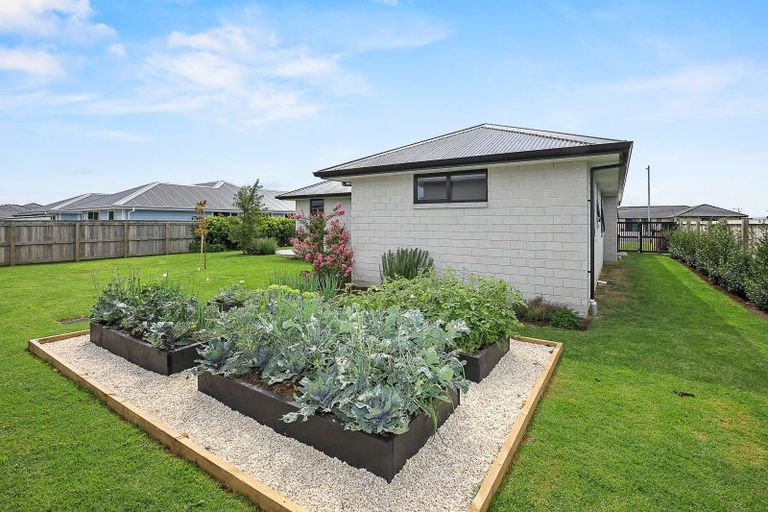 Photo of property in 31 Costello Drive, Ngatea, 3503