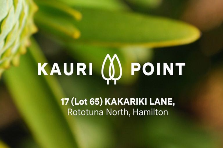 Photo of property in 17 Kakariki Lane, Rototuna North, Hamilton, 3210