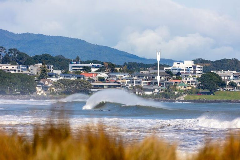 Photo of property in 42 Octavius Place, New Plymouth, 4312