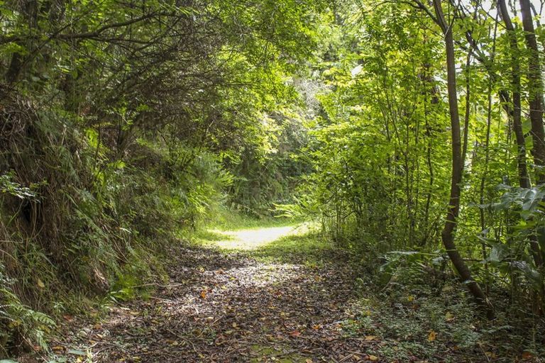 Photo of property in 57 Snowden Street, Ohauiti, Tauranga, 3112