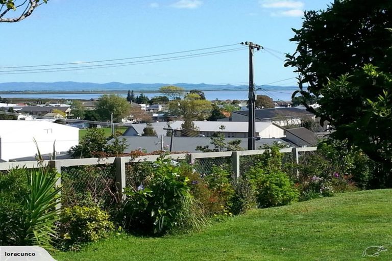 Photo of property in 101 Edward Street, Thames, 3500