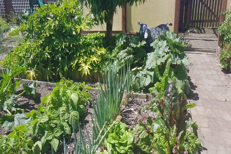 Photo of property in 44 Cobham Avenue, Dargaville, 0310