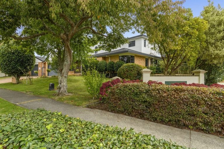 Photo of property in 73 Bethlehem Heights, Bethlehem, Tauranga, 3110