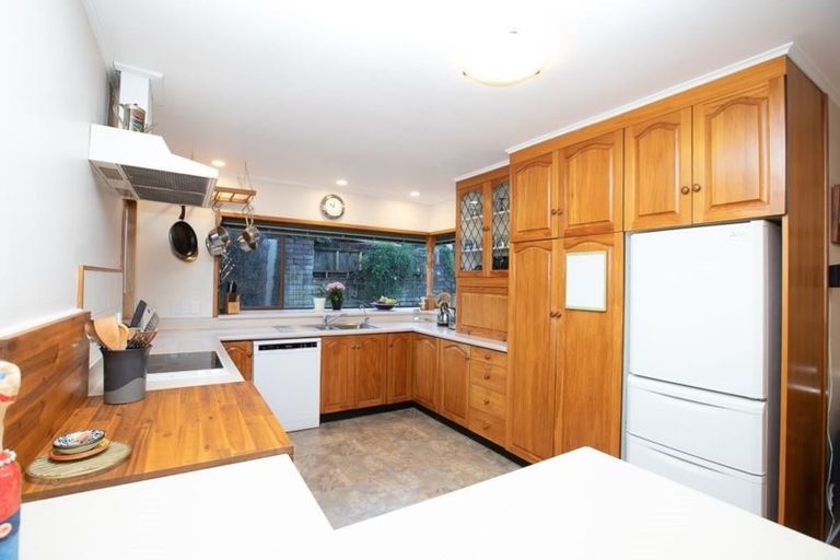 Photo of property in 4 Kenilworth Place, Dinsdale, Hamilton, 3204