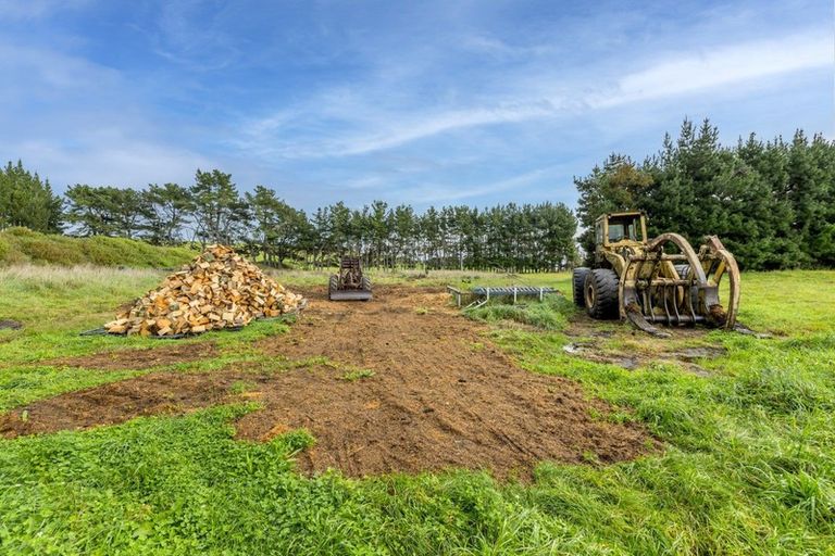 Photo of property in 500 Foxton Shannon Road, Foxton, 4893