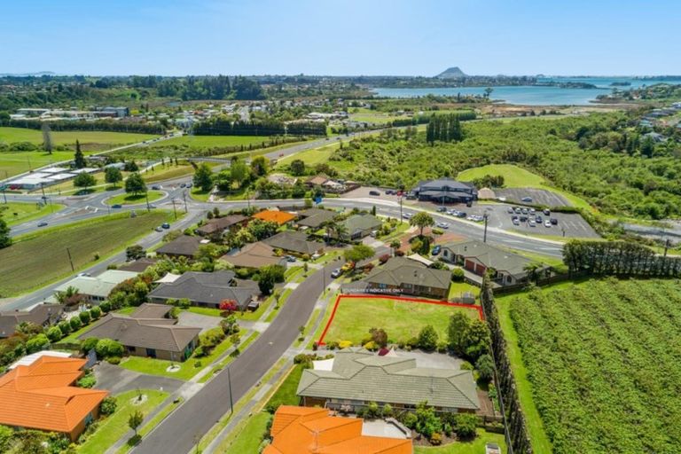 Photo of property in 7 Corwen Avenue, Hairini, Tauranga, 3112