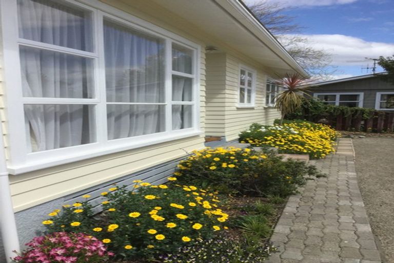 Photo of property in 19 Staig Street, Richmond, 7020