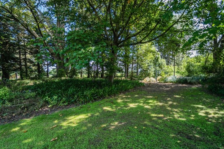 Photo of property in 381 Pareora River Road, Saint Andrews, Timaru, 7972