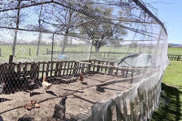 Photo of property in 401 Longview Road, Reporoa, 3083