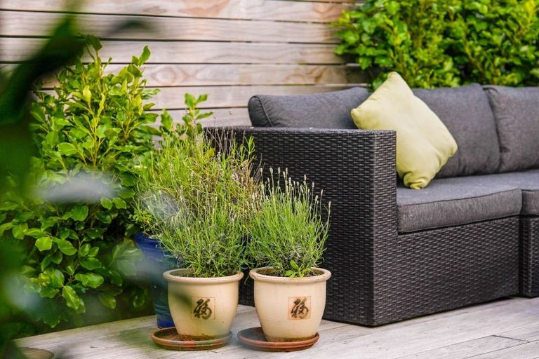 Photo of property in 21b Margaret Road, Raumati Beach, Paraparaumu, 5032