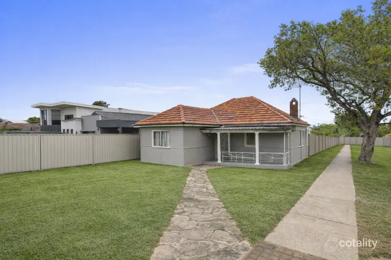 Property image of 54 Woodbine Street Yagoona